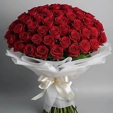 Букет 101 Красная роза Блэк Мэджик в Новозыбкове