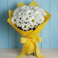 Букет цветов из:  Хризантемы #REPLACE_PRED# Новозыбкове