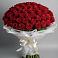 Букет 101 Красная роза Блэк Мэджик в Новозыбкове
