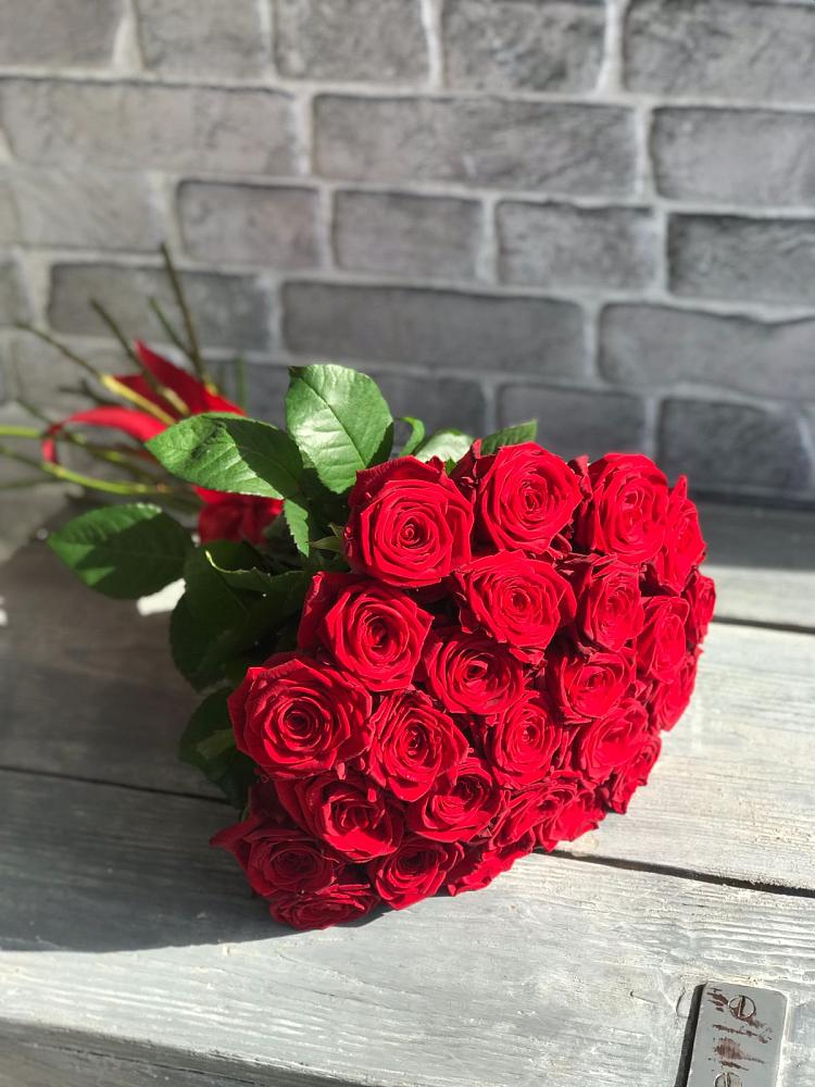 Букет Красные розы Фридом в Новозыбкове