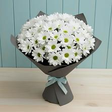 Букет цветов из:  Хризантемы в Новозыбкове