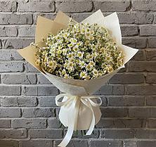 Букет цветов из:  Ромашки #REPLACE_PRED# Новозыбкове