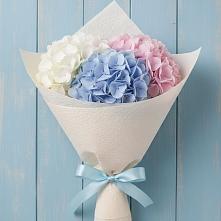 Букет цветов из:  Гортензия в Новозыбкове