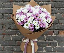 Букет цветов из:  Хризантемы в Новозыбкове