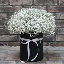Цветочная композиция из Гипсофила в шляпной коробке в Новозыбкове