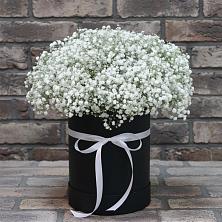 Цветочная композиция из Гипсофила в шляпной коробке в Новозыбкове
