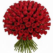 Букет Красные розы Чери Лав в Новозыбкове