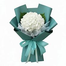 Букет цветов из:  Гортензия #REPLACE_PRED# Новозыбкове